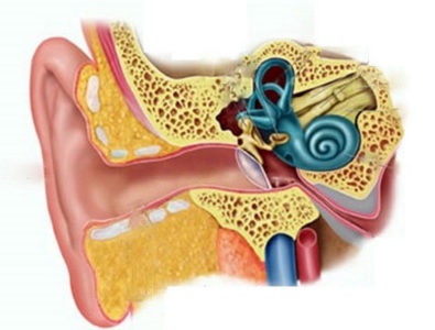 Vestibularis neuronok (neuritis optica) tünetek és a kezelés hatását, valós orvosok