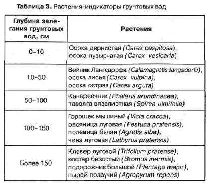 Víztelenítése talajvíz, nyári üzleti (zöldség-gyümölcs kert) Víztelenítése talajvízszinthez ország esetében