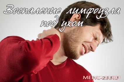 Gyulladt nyirokcsomó alatt a fül az ilyen esetekben, a diagnózis és a kezelés a betegség (gyulladt) Gyulladt nyirokcsomó alatt a fül az ilyen esetekben, a diagnózis és a kezelés a betegség