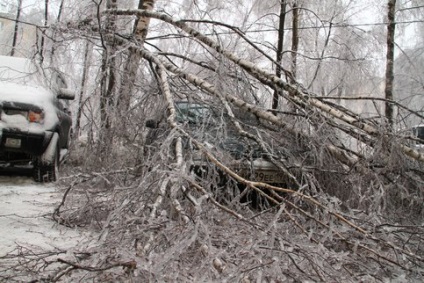 A hatalom a szél a teendő, ha az autó esett egy fa - hálózati kiadás M24 - Budapest 24