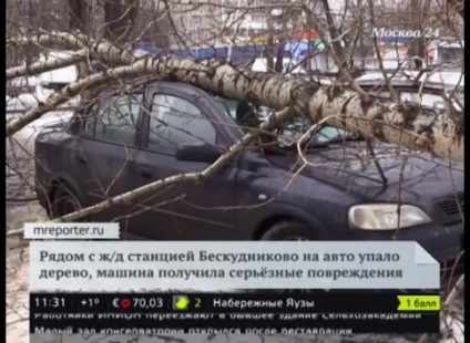 A hatalom a szél a teendő, ha az autó esett egy fa - hálózati kiadás M24 - Budapest 24