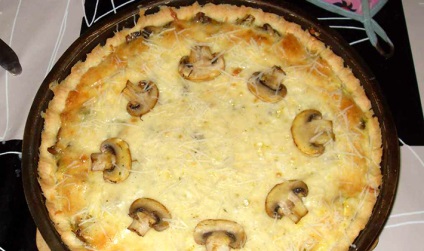 Beltéri gombás pite képek és receptek, csirke, burgonya, sajt és hús