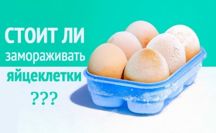 Freeze tojás - kezelések ára a nők egészségügyi