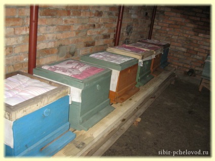 Megjegyzi szibériai méhészek, hogyan kell építeni omshanik a méhek (áttelelő)