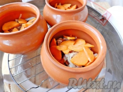 Sült Aerogrill - recept fotókkal (meleg) Sült Aerogrill - recept fotókkal