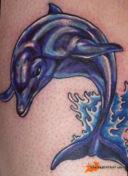 Az érték a delfin tetoválás - tattoo kép