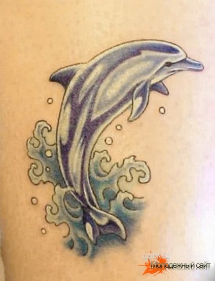 Az érték a delfin tetoválás - tattoo kép