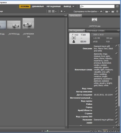 Az Adobe Bridge és egyszerű elhelyezése kulcsszavak fájlokat az azonos típusú - 1 március 2015 - szól