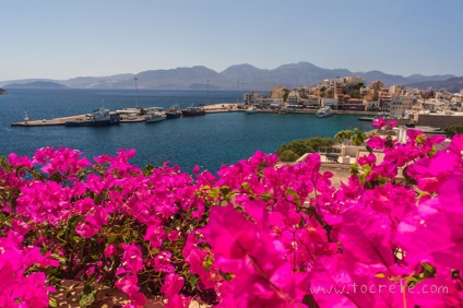 Agios Nikolaos (Agios Nikolaos) - site Kréta (tó Voulismeni) Agios Nikolaos (Agios Nikolaos) - helyszínen a Kréta