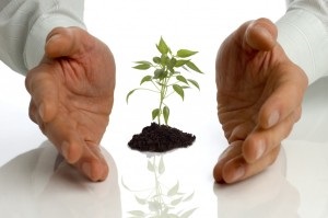 Aktuális témák a kisvállalkozások (ügyek) Aktuális témák a Small Business