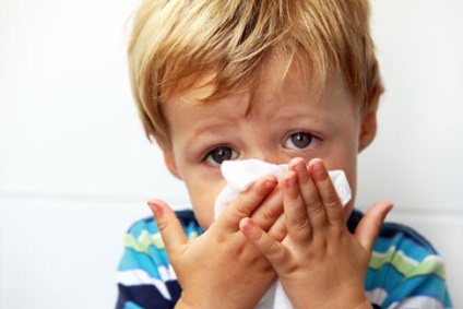Allergiás a hajdina csecsemők, akár hajdina allergia