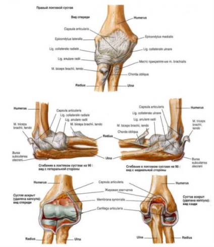 a lábak térd felett fájnak az elülső kezelés során erős fájdalom a láb térdében