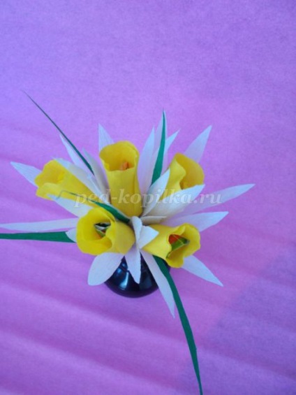 Csokor édességek nárcisz (Narcissus) Csokor nárcisz származó édesség