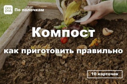 A takarmány az őszi rózsa egy virágágyás () (kálium) A takarmány az őszi rózsa egy virágágyás ()