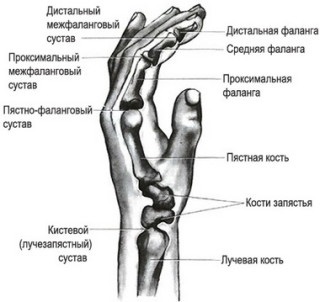 Mit jelent a MRI a csukló csukló és a kéz