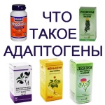 Mi adaptogén (fokozhatja a szexuális) Mik adaptogéneknek