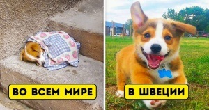Ezek a művészek ábrázolják mágikus világban, ahol szeretnék eltévedni (magic) Ezek a művészek ábrázolják mágikus világban, ahol szeretnék eltévedni