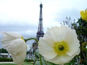 Eiffel-torony, Párizs, hogyan emelkedik, a költségek