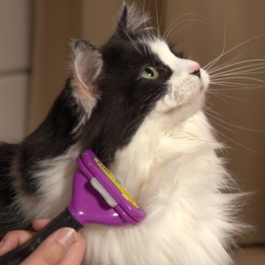 Furminators fésű ez az elektromos működési elve a macskák és más háziállatok