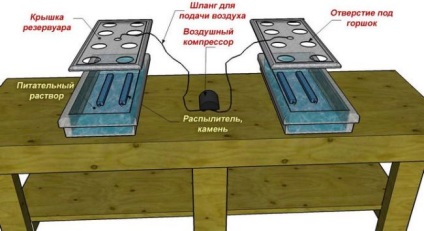 Hydroponics szamóca kezüket jellemző rendszer, tápoldatok, berendezések,