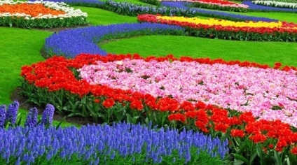 Holland kert alapjait táj stílusban
