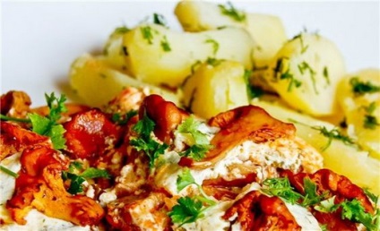 Rókagombával - receptek képekkel, hogyan kell főzni rókagomba - a téli, pörkölt, sült (gomba) Rókagombával - receptek képekkel, hogyan kell főzni rókagomba - a téli, pörkölt, sült