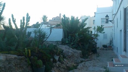 Ibiza clubbers unadvanced) (irin_a) Ibiza clubbers neprodvinutye)
