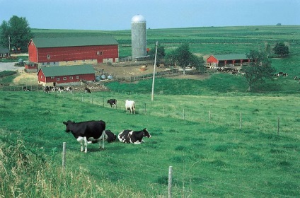 Kataszteri munkák termőföld, földmérő, ingatlan