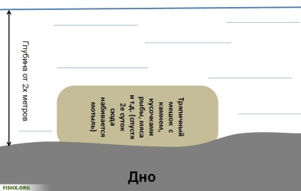 Як добути мотиля влітку