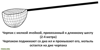 Як добути мотиля влітку