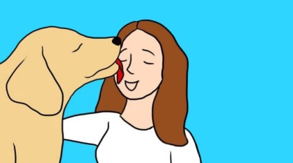 Mivel a kutyák elkezdjük megérteni a nyelvet a legegyszerűbb utasításokat kép