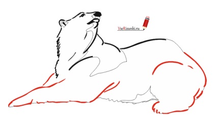 Hogyan kell felhívni a fehér ceruzával medve fázis