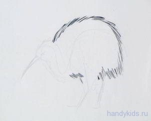 Hogyan kell felhívni, és festeni a kiwi kiwi (kivi kiwi színezés) Hogyan kell felhívni, és festeni a kiwi kiwi