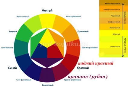 Hogyan kell felhívni a medve umku szakaszaiban