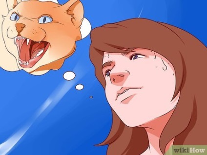 Hogyan lehet megállítani félve macskák