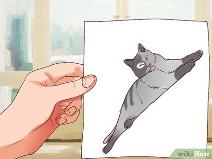 Hogyan lehet megállítani félve macskák