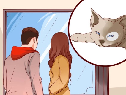 Hogyan lehet megállítani, hogy félnek a macskák - vripmaster