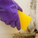 Hogyan mossa a szőrzet természetes - vidám ház