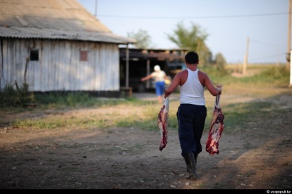 Hogyan hentes egy ló, főz - Chef Kazahsztán (szakácsok) Hogyan hentes egy ló, főz - Chef Kazahsztán