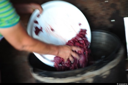 Hogyan hentes egy ló, főz - Chef Kazahsztán (szakácsok) Hogyan hentes egy ló, főz - Chef Kazahsztán