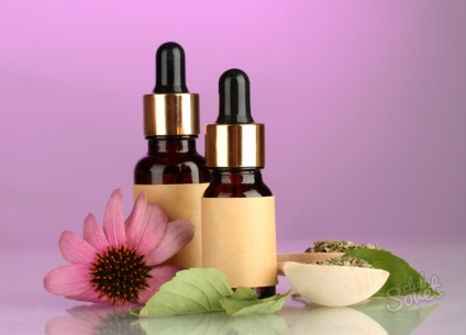 Hogyan kell szedni az echinacea (hogy) Hogyan kell szedni az echinacea