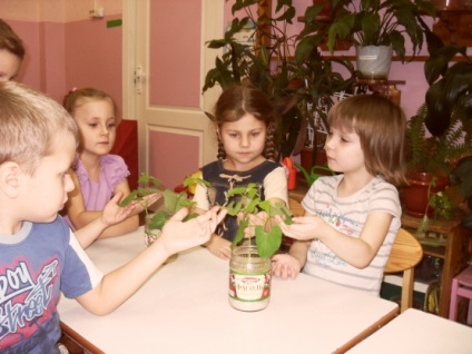 Ahogy egyre minden élőlény (szülői) Mint minden élőlény növekszik