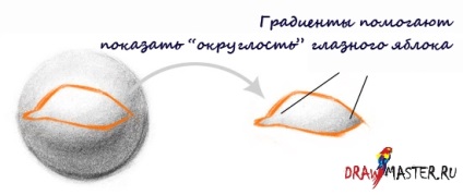 Hogyan kell felhívni a szem (például festék) Hogyan kell felhívni a szemét