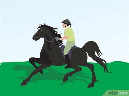 Hogyan válasszuk ki a megfelelő fajta ló