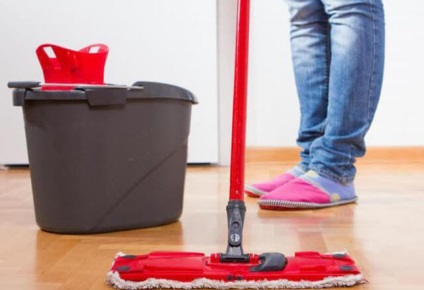 Hogyan válasszuk ki a mop a padló tisztításához egy mikroszálas profi, a legjobb fa, kényelmes, kilátás