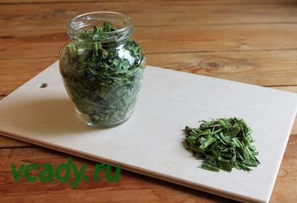 Hogyan készüljünk fel a téli zöld hagyma, három egyszerű receptek