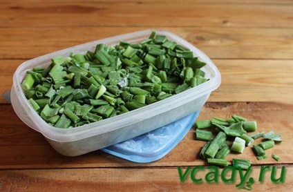 Hogyan készüljünk fel a téli zöld hagyma, három egyszerű receptek