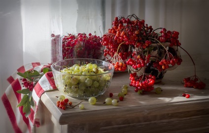 Viburnum, viburnum bogyó később