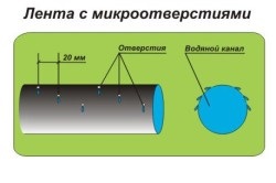 Csepegtető öntözés DIY saját kezében (DIY csepegtető öntözőrendszer működik összeszerelő üzem) Csepegtető öntözés DIY saját kezét