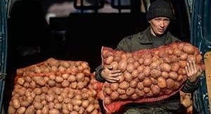 Burgonya egy álom vásárolni értelmezés (burgonya) Burgonya egy álom vásárolni értelmezés
